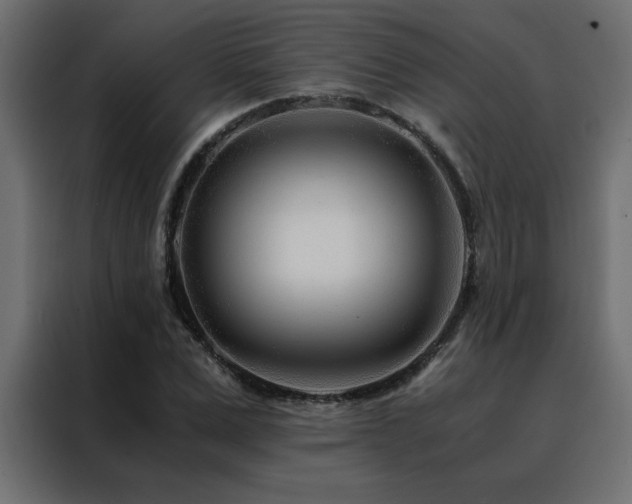 X0000088460975200705221339