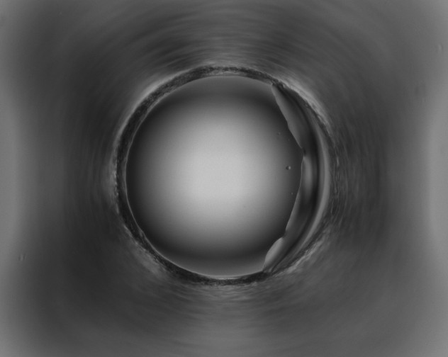 X0000088460976200705221339