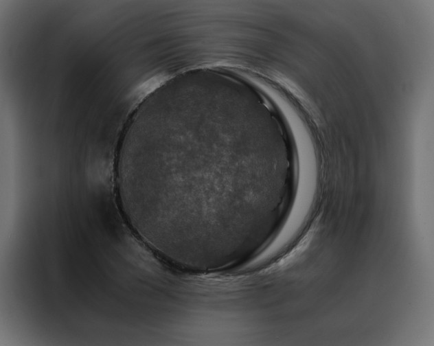 X0000088460977200705221339