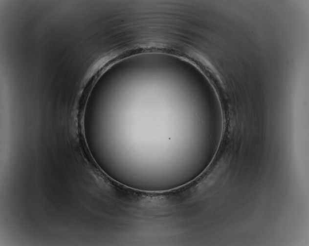 X0000088460978200705221339