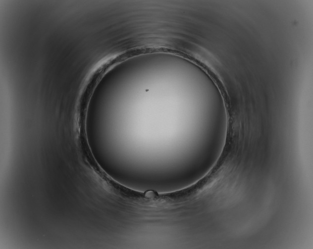 X0000088460979200705221339