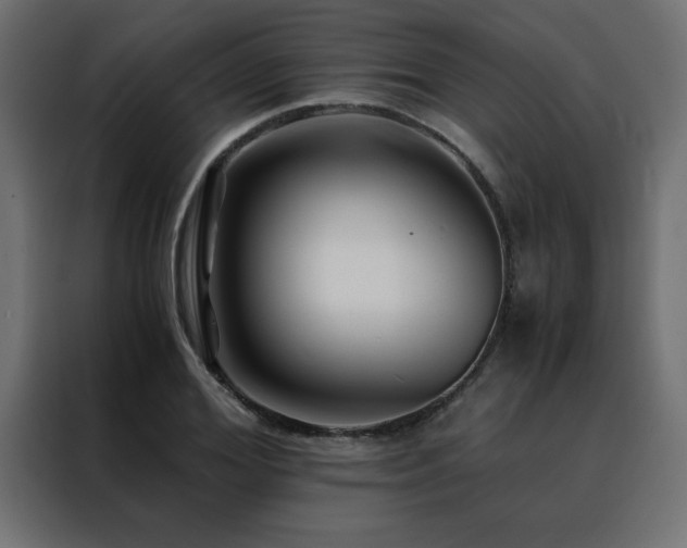 X0000088460980200705221339