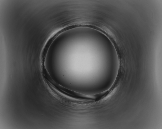 X0000088460981200705221339