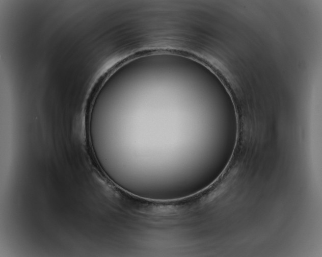 X0000088460982200705221339
