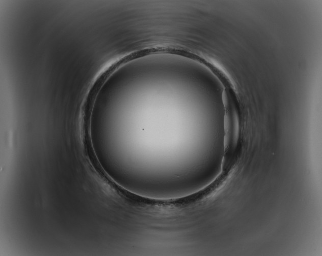 X0000088460983200705221339