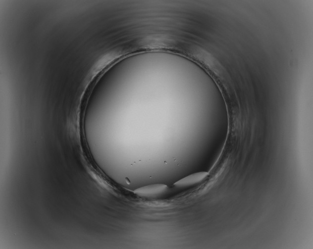 X0000088460986200705221339