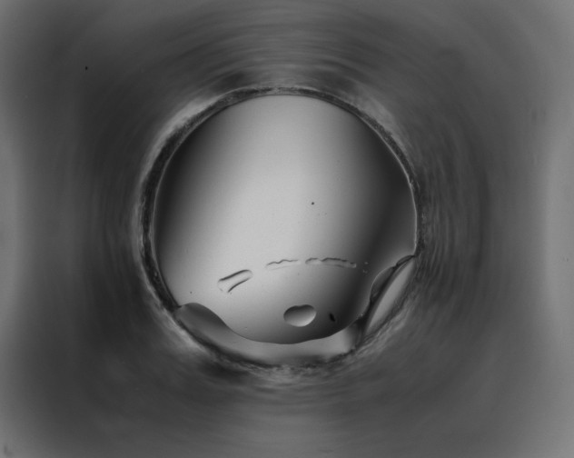 X0000088460987200705221339