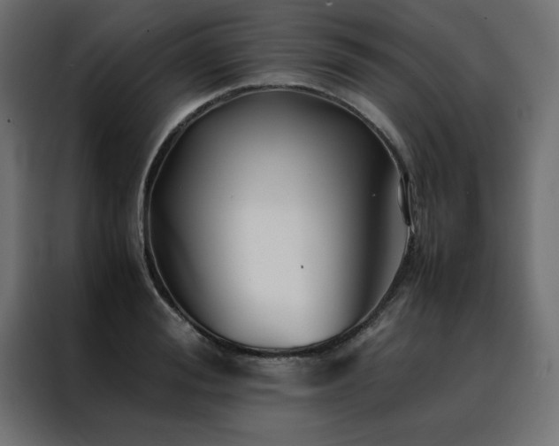 X0000088460988200705221339
