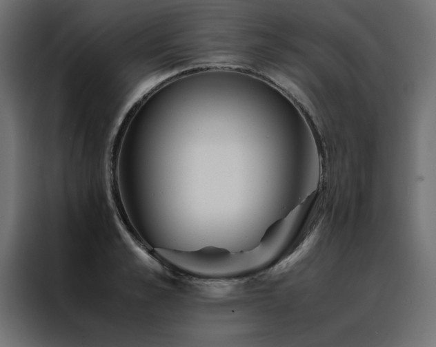 X0000088460989200705221339