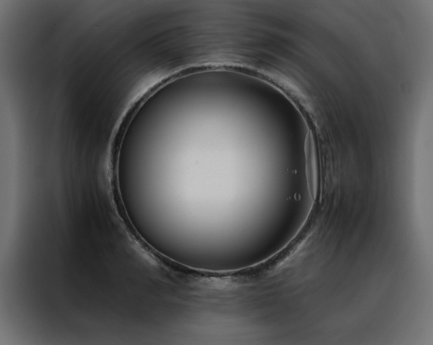 X0000088460990200705221339