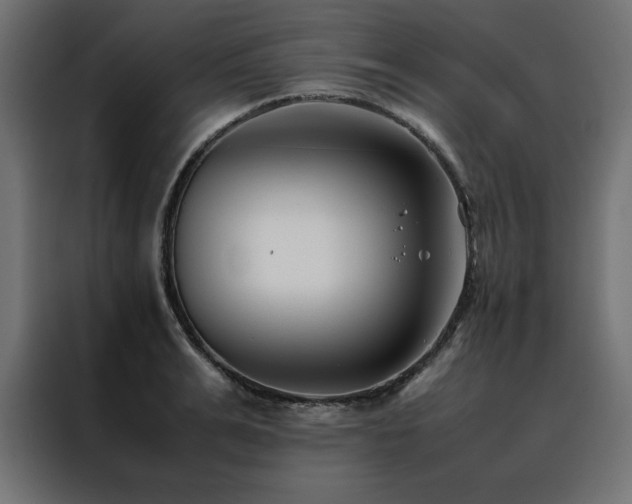 X0000088460991200705221339