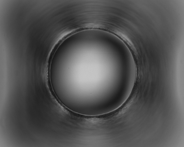 X0000088460992200705221339