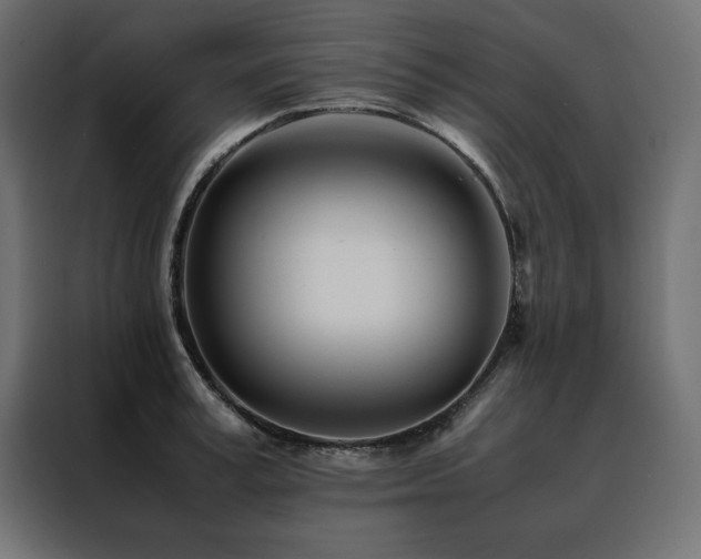 X0000088460995200705221339