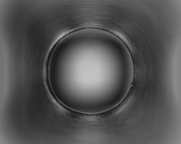 X0000088460999200705221339