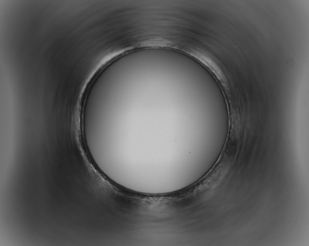X0000088461000200705221339