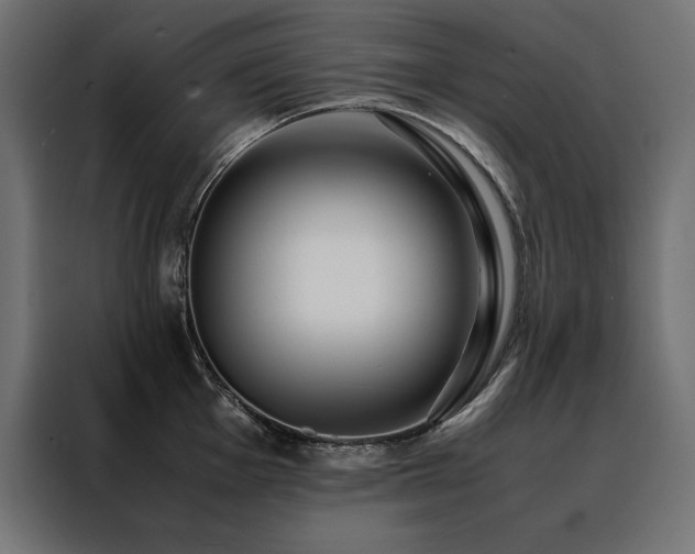 X0000088461001200705221339