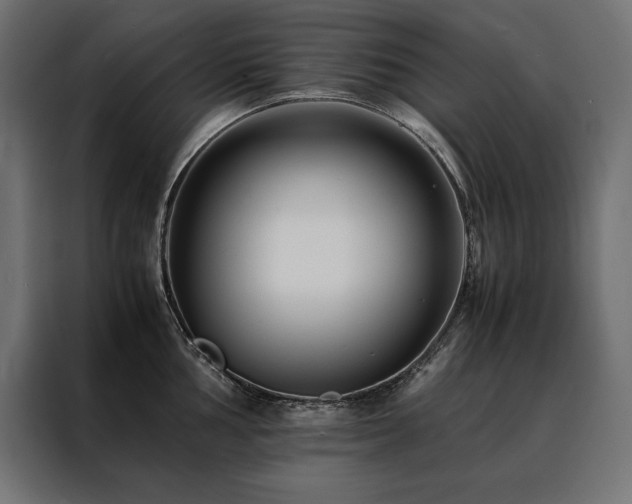 X0000088461002200705221339