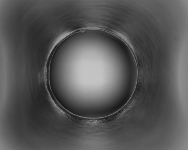 X0000088461003200705221339