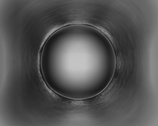 X0000088461006200705221339