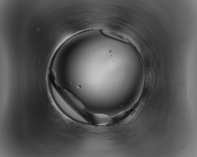 X0000088461007200705221339