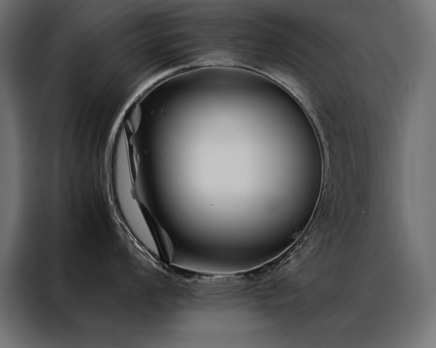 X0000088461008200705221339