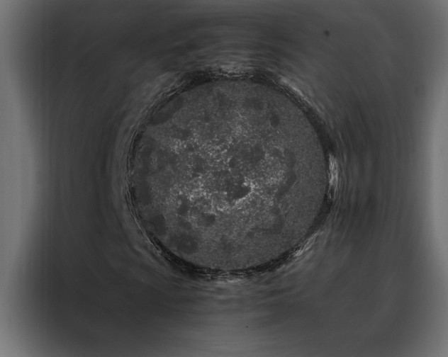 X0000088461009200705221338