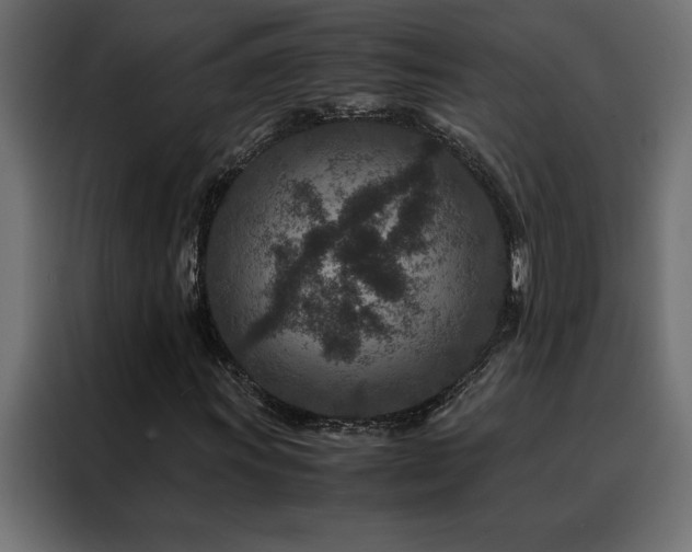 X0000088461011200705221338