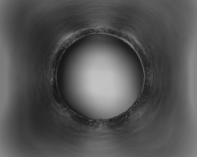 X0000088461016200705221338