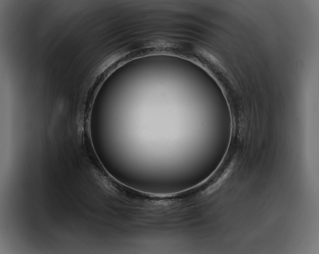 X0000088461017200705221338