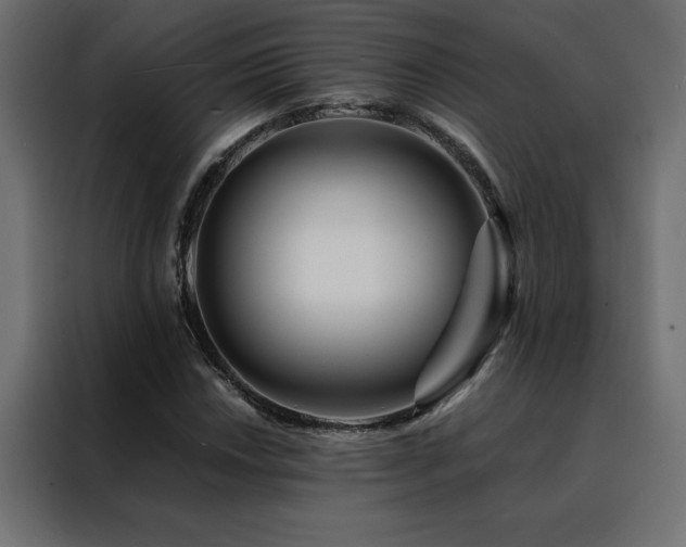 X0000088461018200705221338