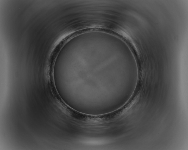 X0000088461019200705221338