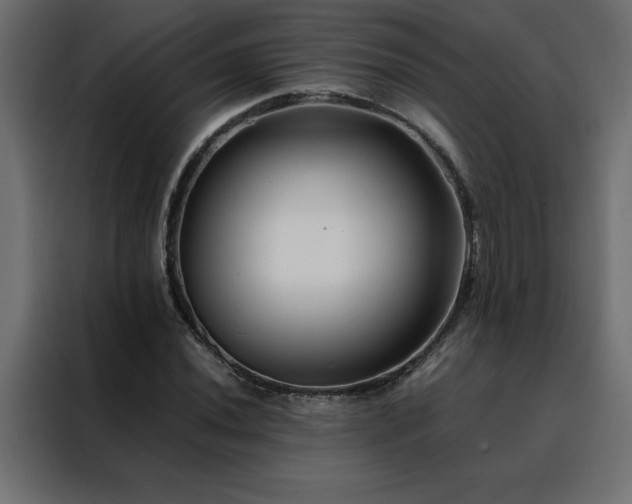 X0000088461020200705221338