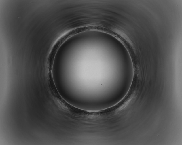 X0000088461021200705221338