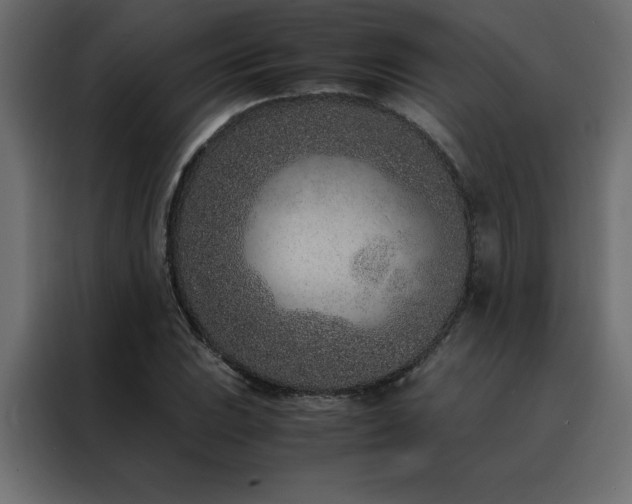 X0000088461023200705221338