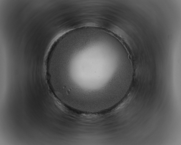 X0000088461027200705221338