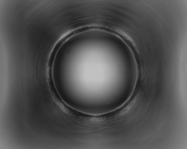 X0000088461029200705221338