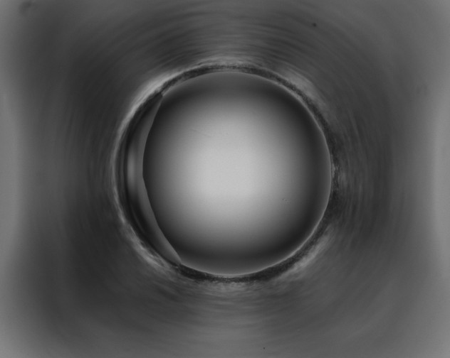 X0000088461030200705221338
