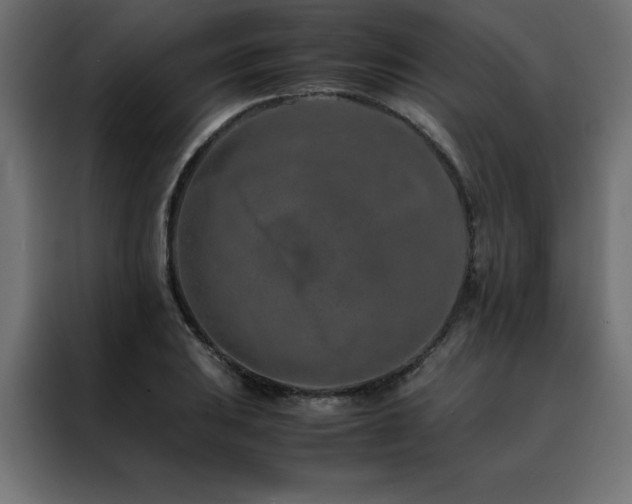 X0000088461031200705221338