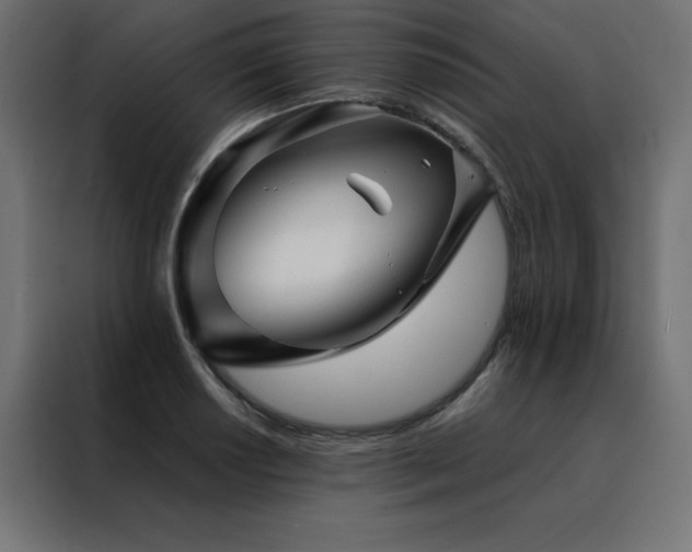 X0000088461034200705221338