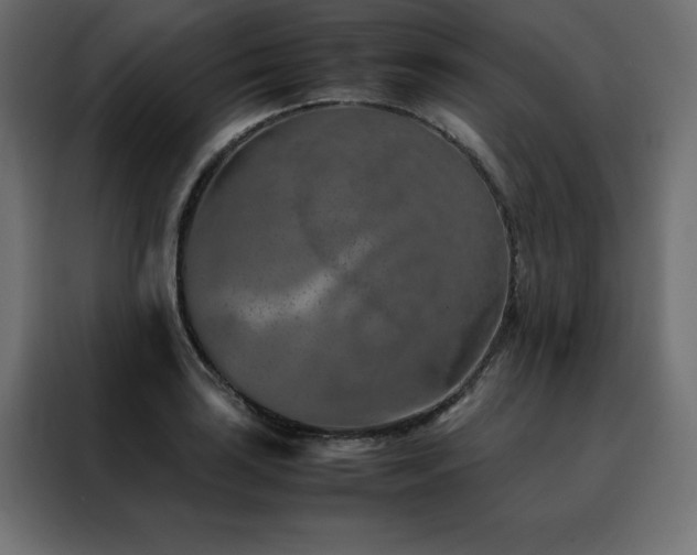 X0000088461035200705221338
