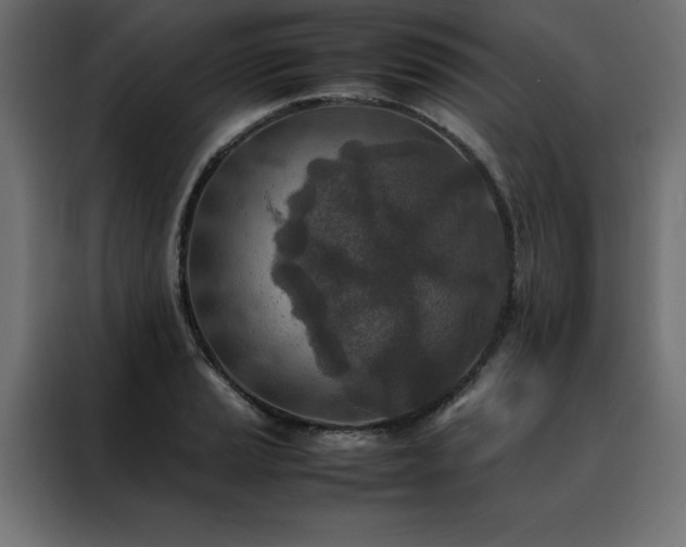 X0000088461037200705221338