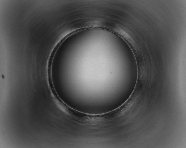 X0000088461039200705221338