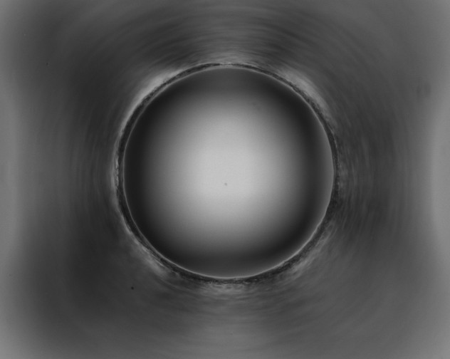 X0000088461040200705221338