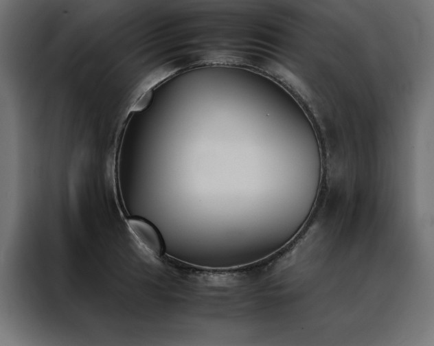 X0000088461041200705221338