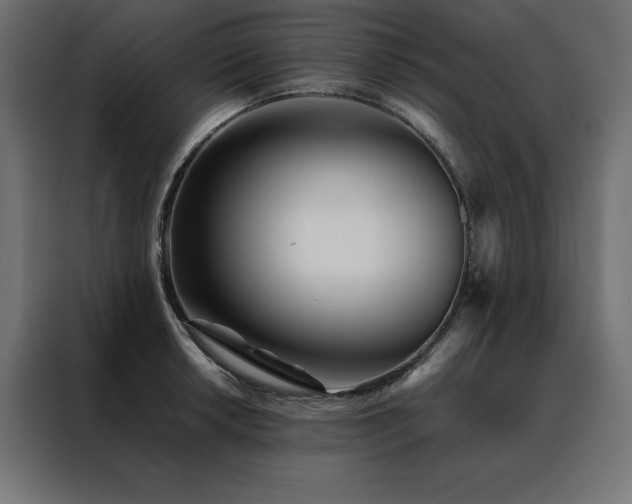 X0000088461042200705221338