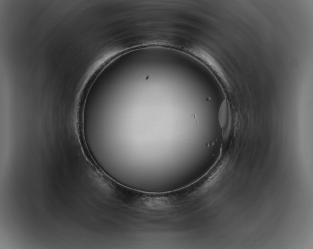X0000088461043200705221338