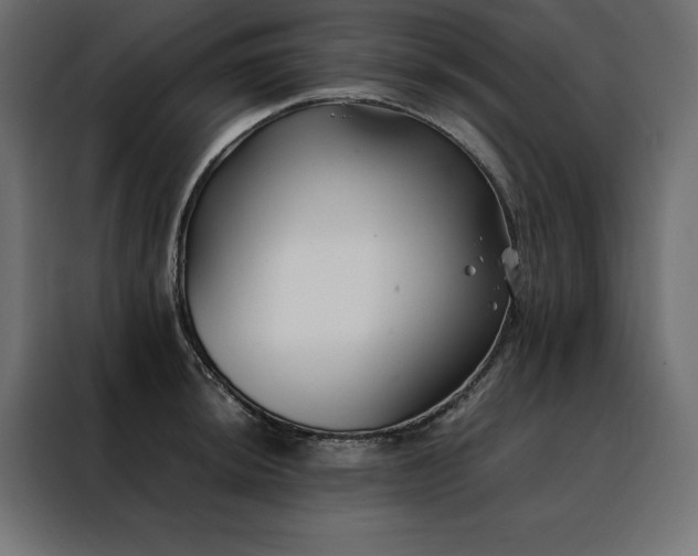 X0000088461044200705221338