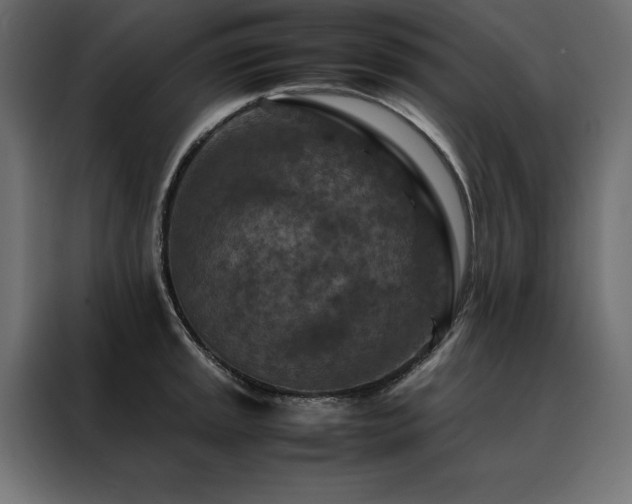 X0000088461045200705221338