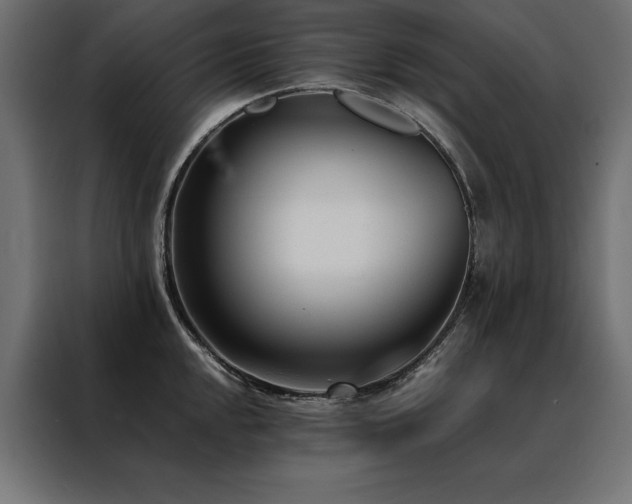 X0000088461048200705221338