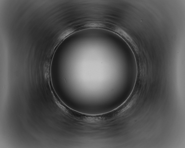 X0000088461049200705221338